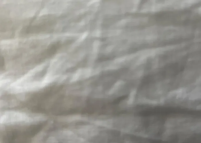 Sss